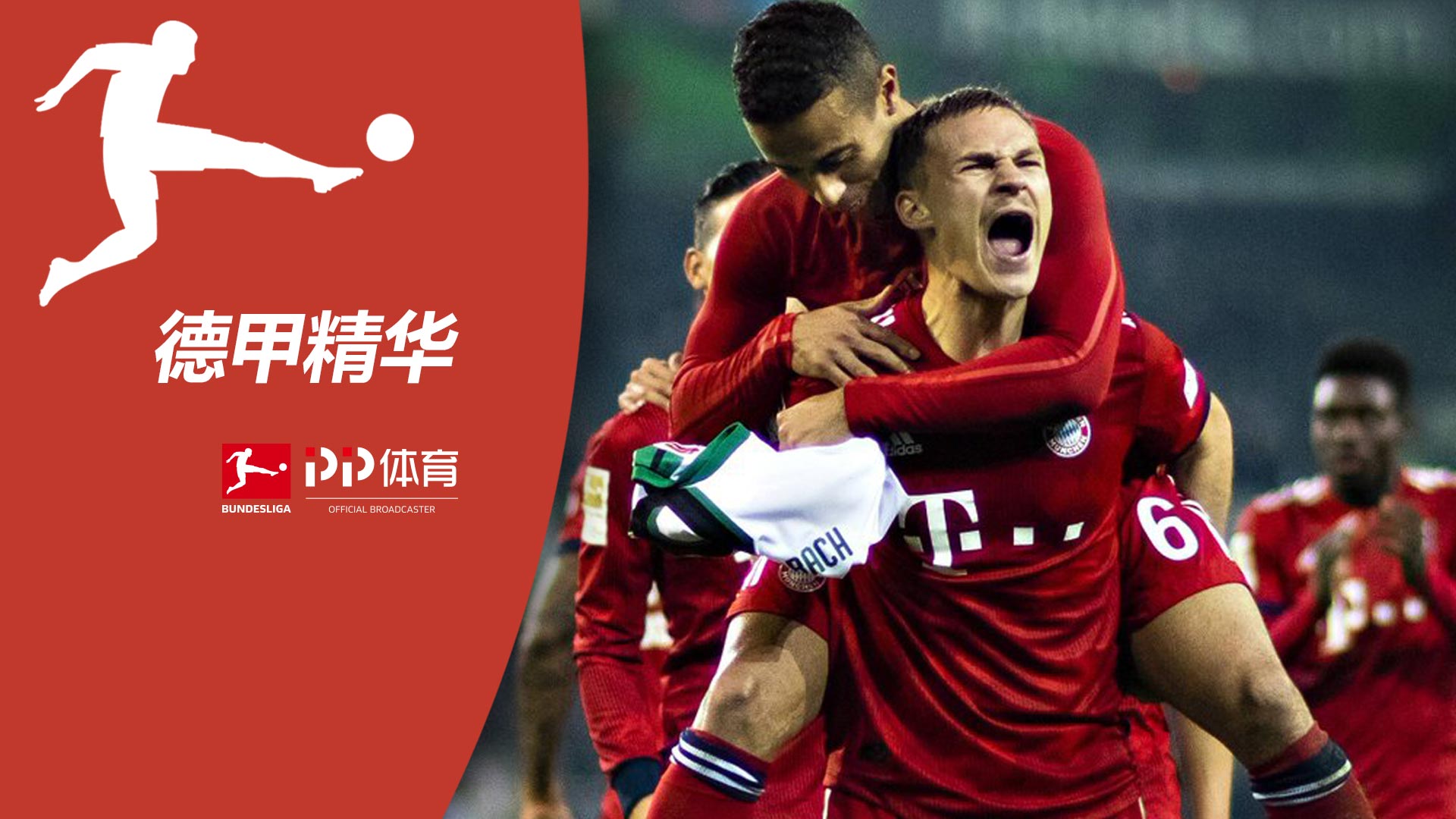 心电体脂检测2合1芯片VC8088